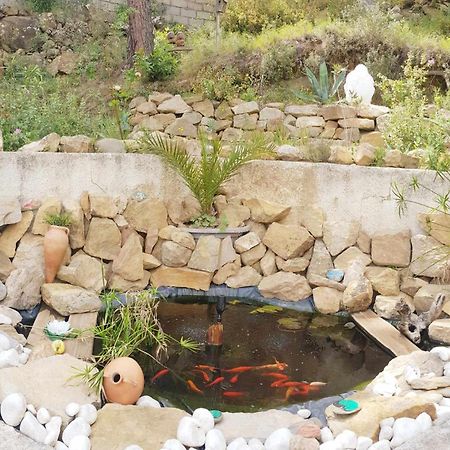 La Villa Du Menhir Gite Bize-Minervois Εξωτερικό φωτογραφία