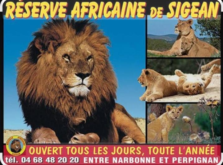 La Villa Du Menhir Gite Bize-Minervois Εξωτερικό φωτογραφία